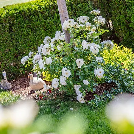 Garni Vierjahreszeiten